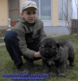 /album/kepgaleria-kelet-rettegett-kanja-back/back-20-jpg/